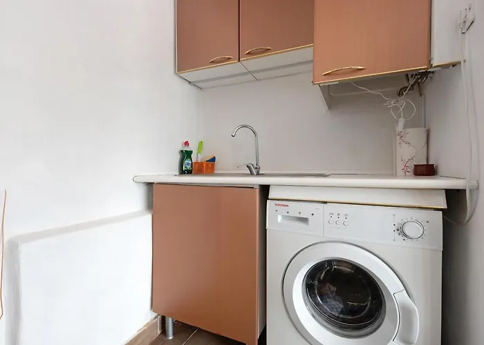 Tropical Piso Ana Con Palmera *