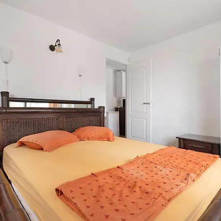 Tropical Piso Ana Con Palmera