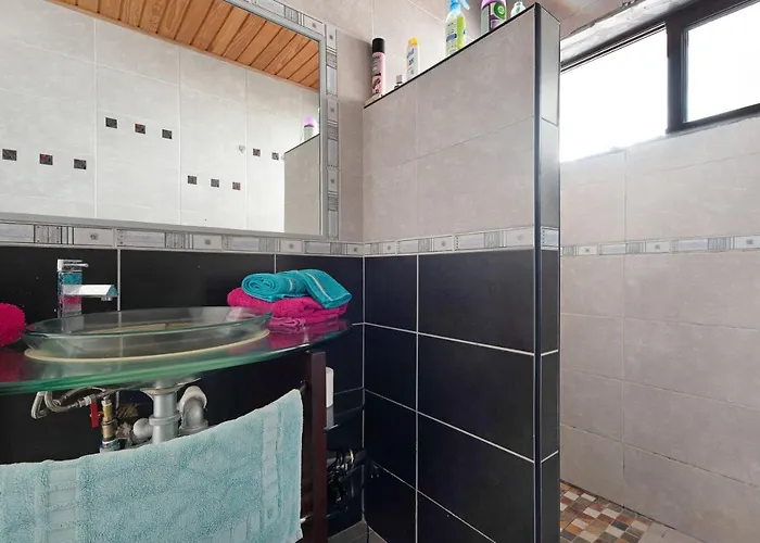 Tropical Piso Ana Con Palmera *